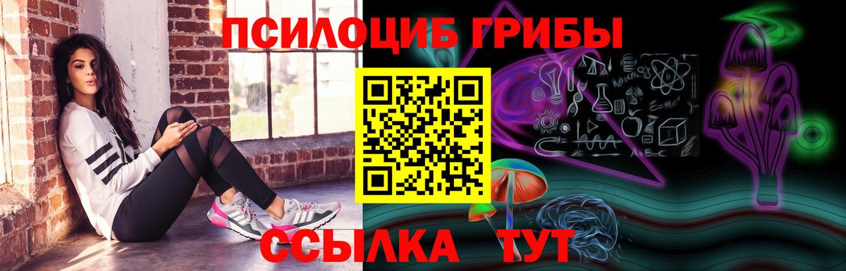 Псилоцибиновые грибы Psilocybine cubensis Сальск