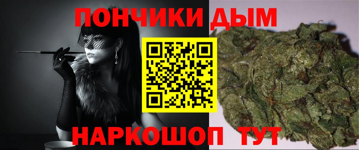 Каннабис OG Kush Сальск